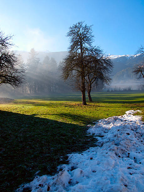Melting snow in the Austrian Alps stock photo