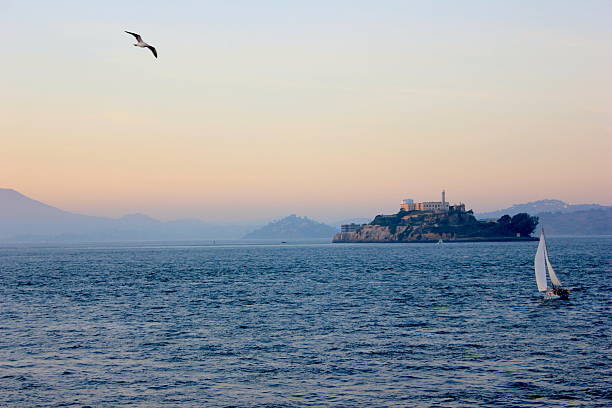 istock Alcatraz island with Seagull flying and a sailboat 470972621