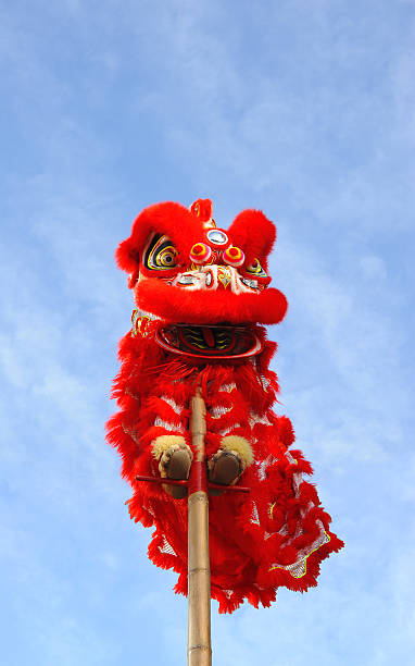 istock Chinese lion costume (for Spring Festival celebration) 470973663