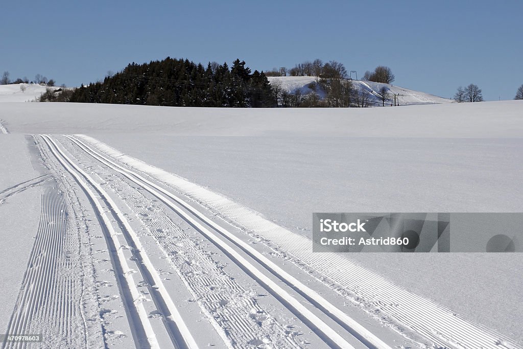 cross-country trail cross-country skiing cross-country trail in wintry Bavarians (Germany) Cross-Country Skiing Stock Photo