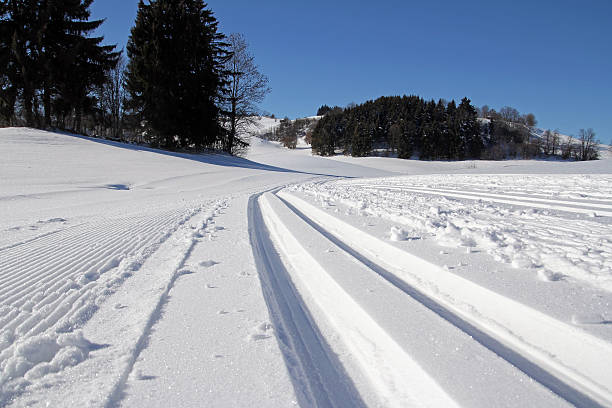 istock cross-country trail 470978635
