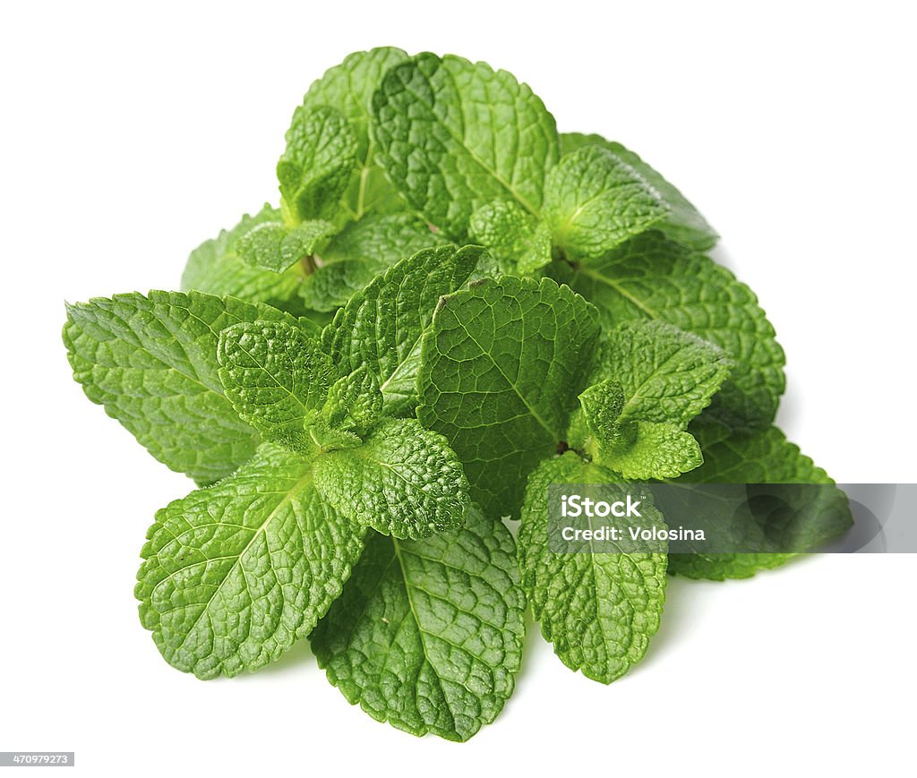 Fresh mint Fresh mint close up on white Aromatherapy Stock Photo