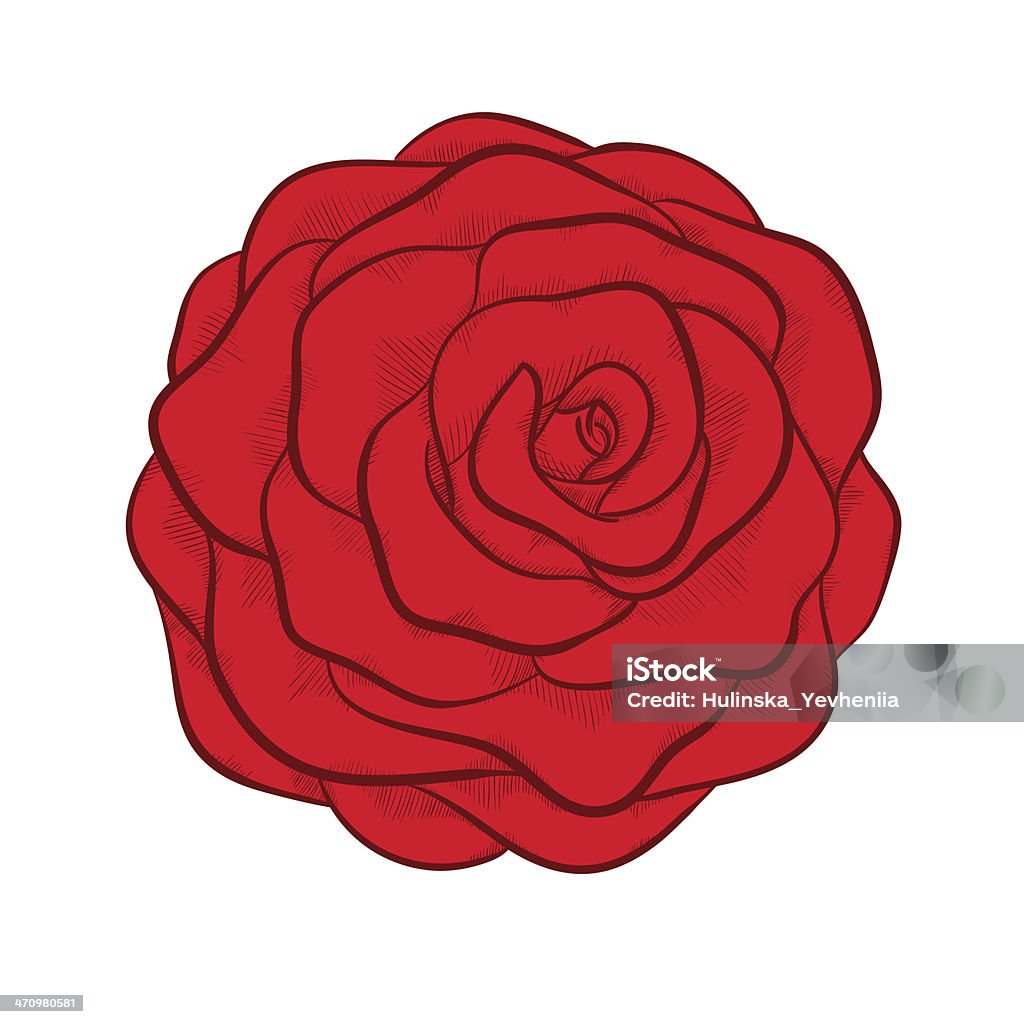 Graphic Red Roz Beautiful Red Rose Isolated In Graphic Style Stock Illustration ...