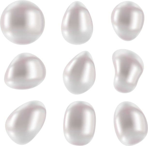 satz von vektor-süßwasserperlen-verschiedene formen. - süßwasser stock-grafiken, -clipart, -cartoons und -symbole