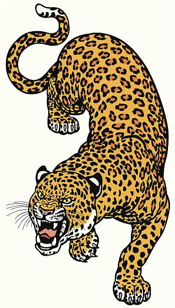 Vector illustration of angry leopard