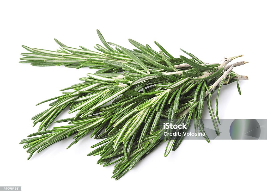 Twigs of rosemary Twigs of rosemary on a white background Branch - Plant Part Stock Photo