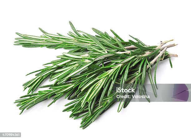 Twigs Of Rosemary Stock Photo - Download Image Now - Branch - Plant Part, Close-up, Cut Out