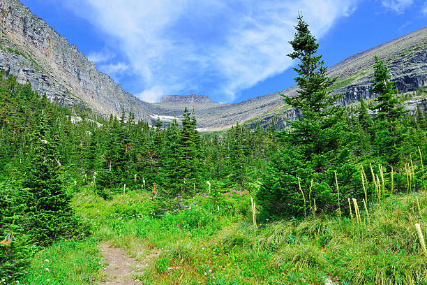 istock mountains and high alpine conifer forest in glacier national park 470985580