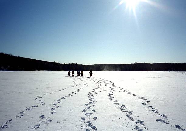 Frozen Lake Trek stock photo