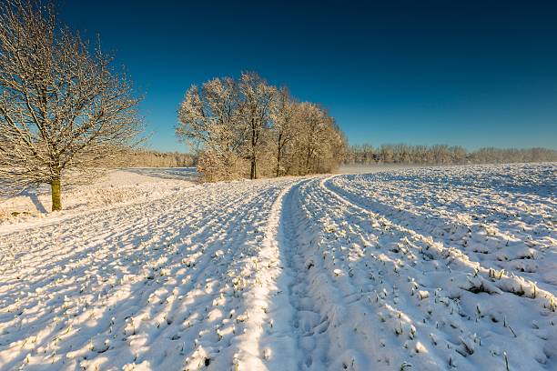 istock Beautiful winter field landscape. 470985874