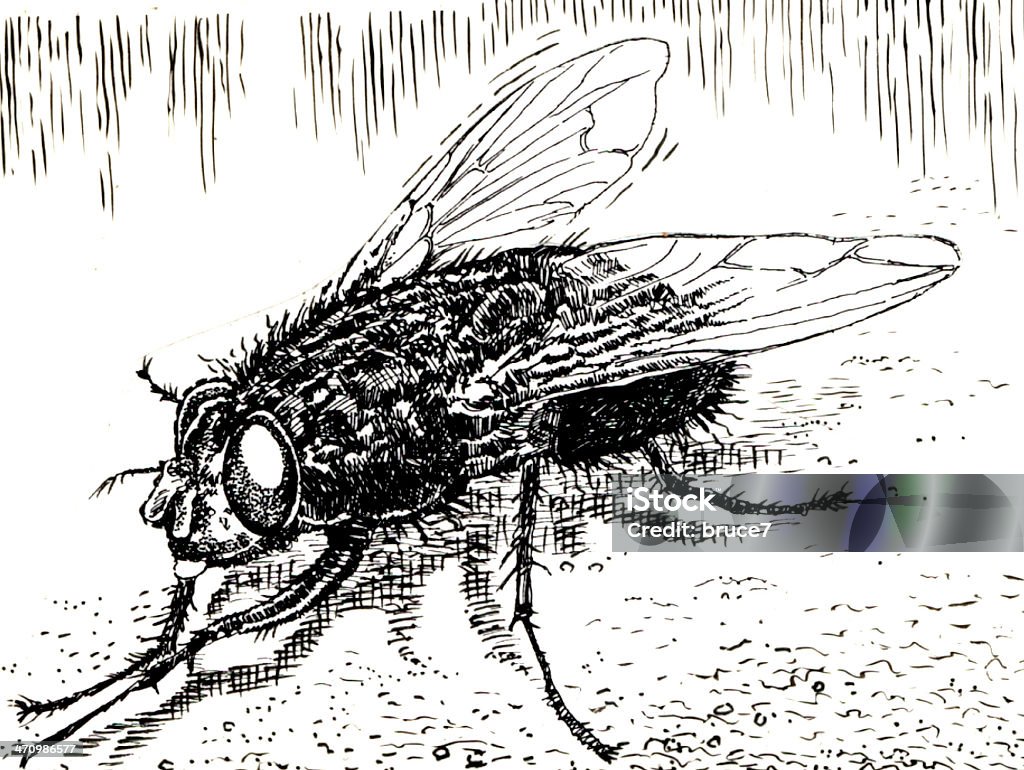 FLY - Illustrazione stock royalty-free di Moscone azzurro