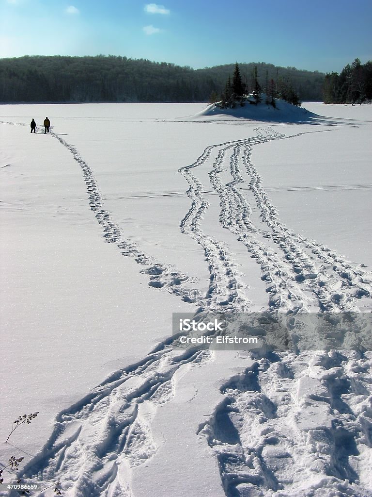 Замерзшее озеро Trek 2003 года - Стоковые фото Белый роялти-фри