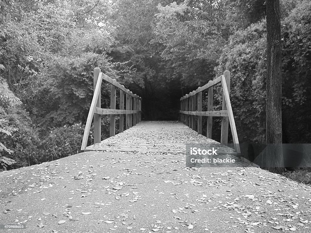 Ponte verso il nulla - Foto stock royalty-free di Albero