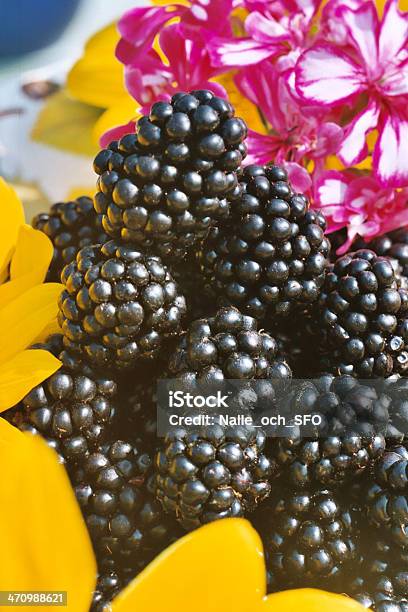 Foto de Combinação Colorida e mais fotos de stock de Alimentação Saudável - Alimentação Saudável, Amarelo, Amora-preta
