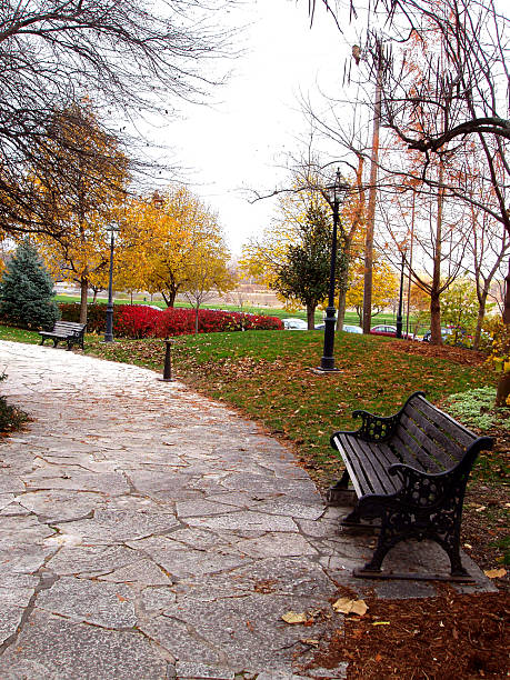 Park in Fall stock photo