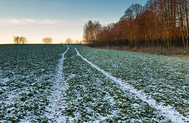 istock Beautiful winter field landscape. 470989652