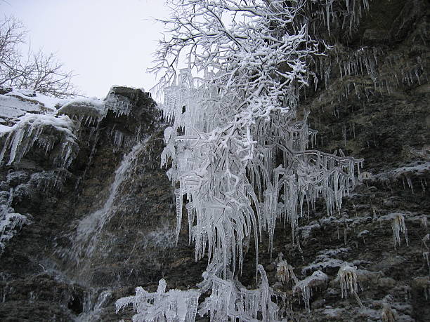 frosty - peeling frost ice season stock-fotos und bilder