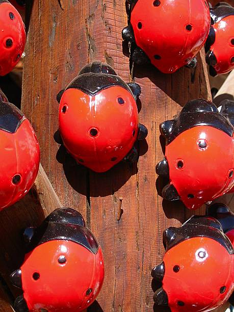 istock Porcelaine ladybugs climbing 470992009