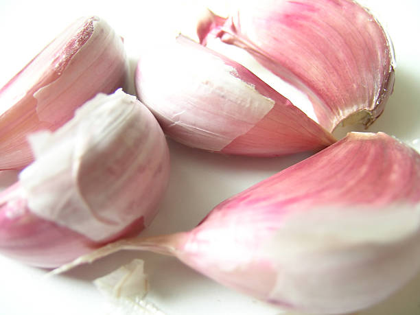 Garlic Macro - Soft Blur stock photo