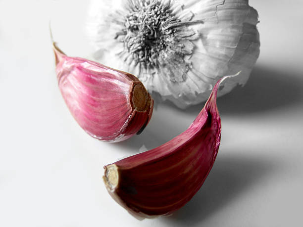 Garlic Still Life - Macro - Soft Blur stock photo