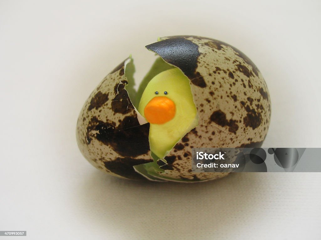 Sorpresa Uovo di Pasqua Uscire dall'uovo - Foto stock royalty-free di Animale