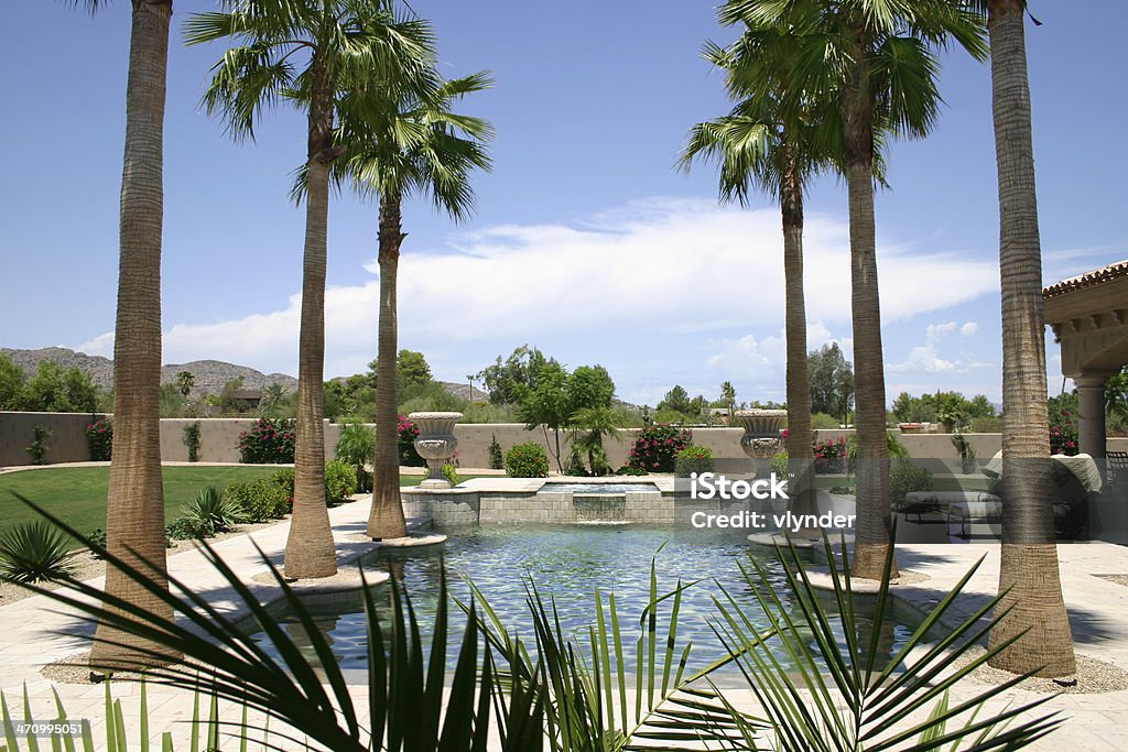 Piscina Tropical - Foto de stock de Agua libre de derechos