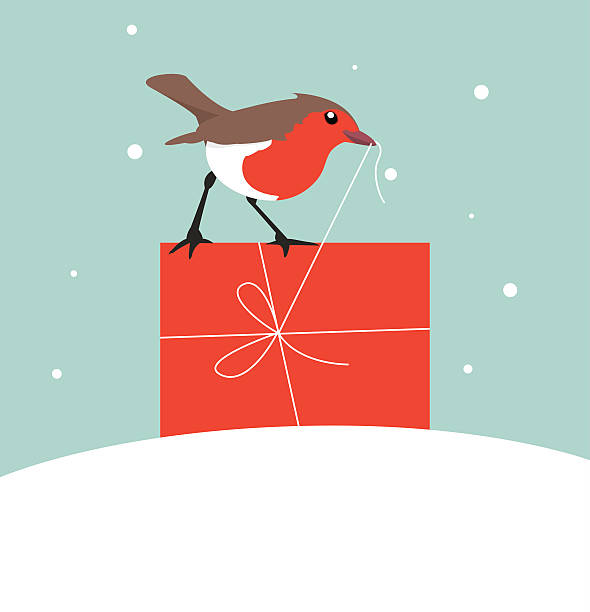 Robin with Christmas Gift A cheeky little red English robin standing on a red gift box and pulling the string / gift wrap.  unwrapping stock illustrations