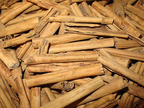 Cinnamon sticks – nice spice stock photo