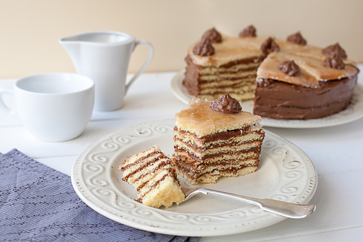 Piece of layered cake (Dobosh Hungarian cake)