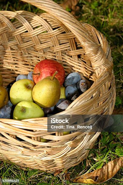 Obstkorb Ii Stockfoto und mehr Bilder von Agrarbetrieb - Agrarbetrieb, Apfel, Birne