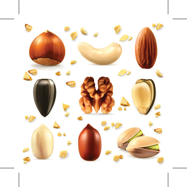 nüsse, vektor icon-set - walnut nut nutshell peanut stock-grafiken, -clipart, -cartoons und -symbole