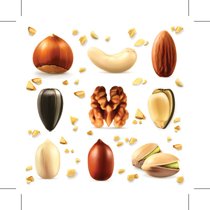 Nuts, vector icon set, eps10 vector illustration contains transparency and blending effects
