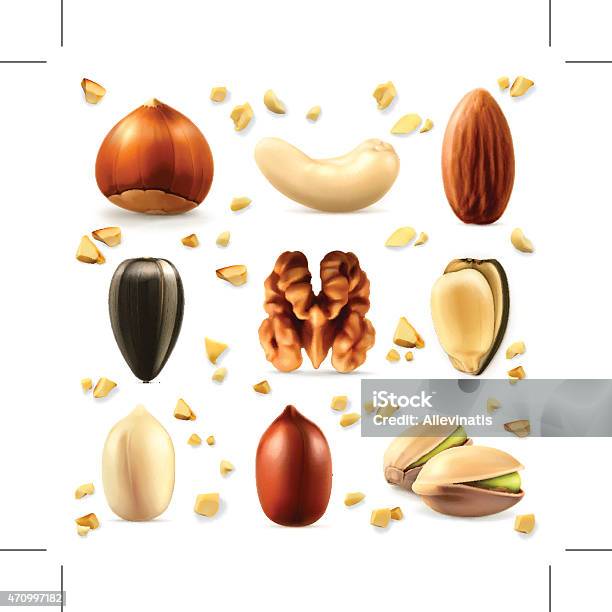 Nuts Vector Icon Set Stock Illustration - Download Image Now - Hazelnut, Three Dimensional, Almond