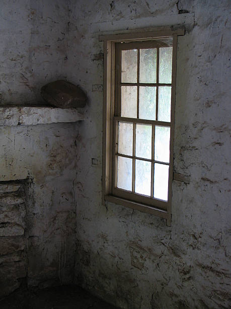 Window Looking out a window from inside an 1800's brick house. mickey mantle stock pictures, royalty-free photos & images