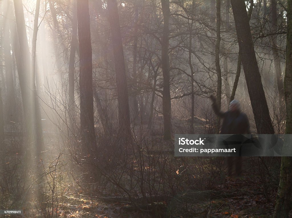 Spooky madera - Foto de stock de 50-59 años libre de derechos