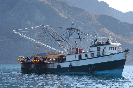   Mexican Fishing Boat                              