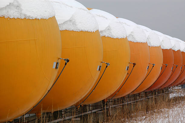 Fruity Storage Tands w/Snow stock photo