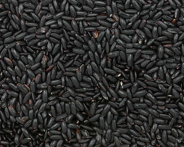 black  forbidden rice stock photo