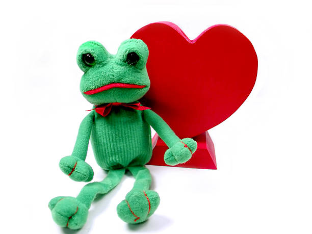 Frog and Heart stock photo