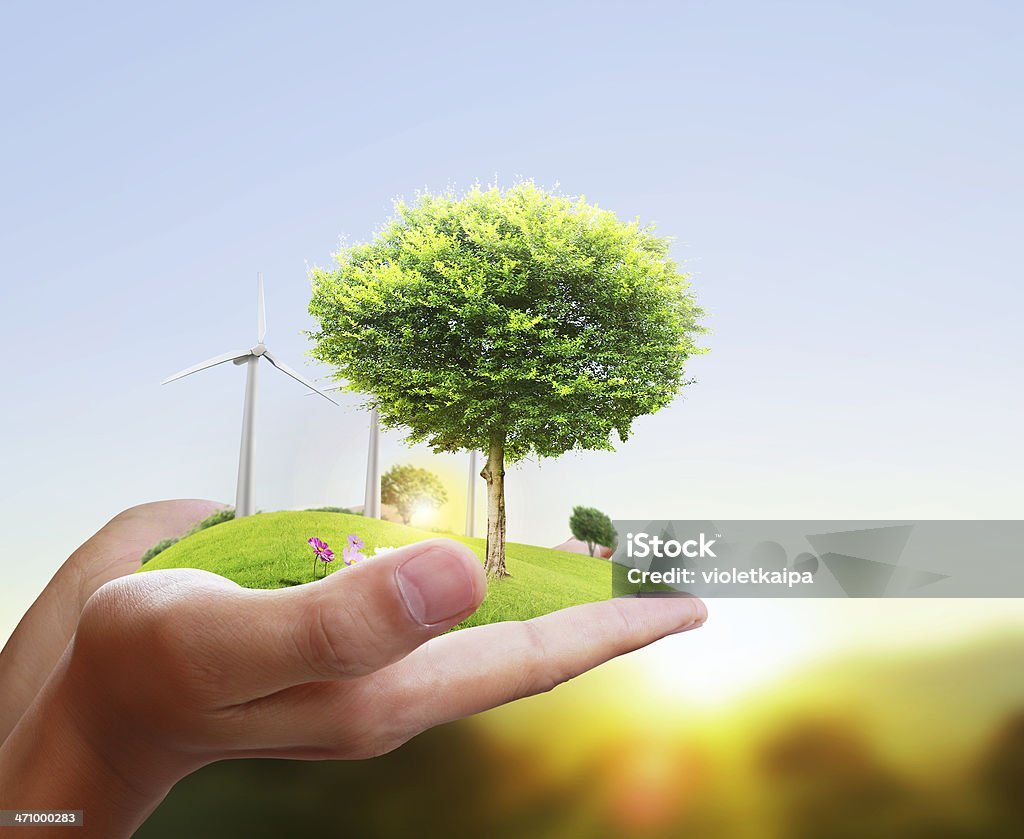 Small tree in a hand Small tree in a hand businessman Airplane Stock Photo