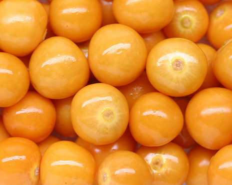Fresh golden cape gooseberries. They taste kind of like a sweet tomato, are related to tomatillos, and grow with a papery husk surrounding the fruit. Gooseberries are known by many names, including 