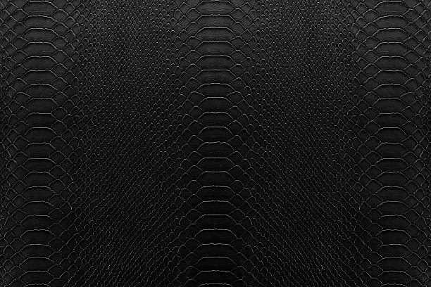 rettile nero - frame pattern design leather foto e immagini stock