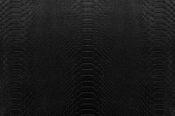 Texture background of black reptile leather