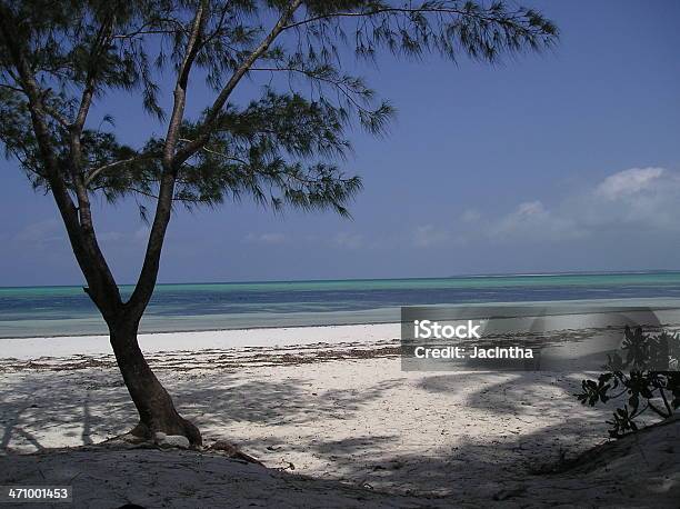 Il Paradiso - Fotografie stock e altre immagini di Acqua - Acqua, Africa, Albero