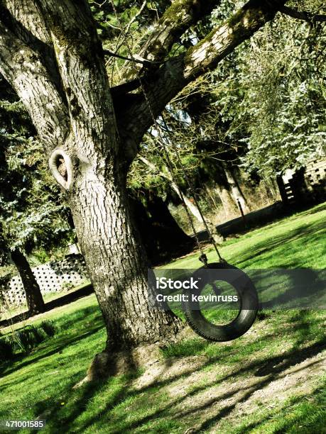 Baloiço De Pneu Pendurado Na Árvore Velha - Fotografias de stock e mais imagens de Baloiço - Baloiço, Jardim Particular, Casa