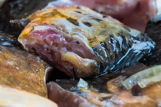 istock Pieces of carp fish in marinade ready for frying 471001992