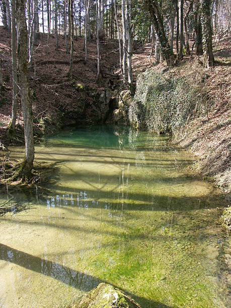 wiosną venoge - lisle zdjęcia i obrazy z banku zdjęć