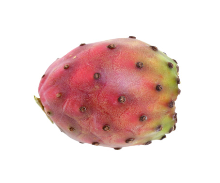 The fruit of a prickly pear cactus, isolated on white. Prickly pear fruit are known by a variety of names, including 