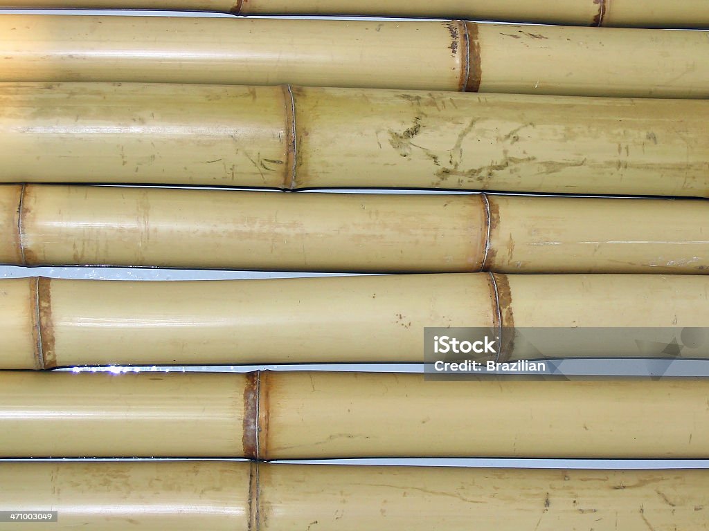 bamboos - Стоковые фото Бамбуковый материал роялти-фри