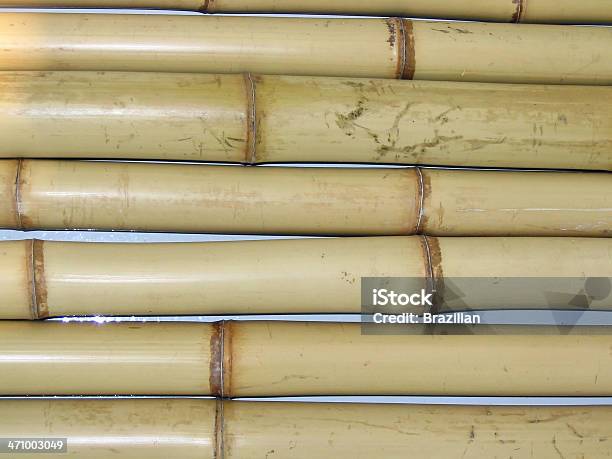 Bamboos — стоковые фотографии и другие картинки Бамбуковый материал - Бамбуковый материал, Бежевый, Высокий